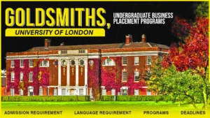 Gold Smith University | Business Placement Programs