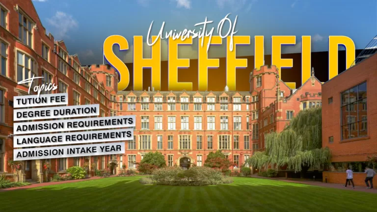 university of sheffield