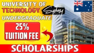 University of technology undergraduate scholarship