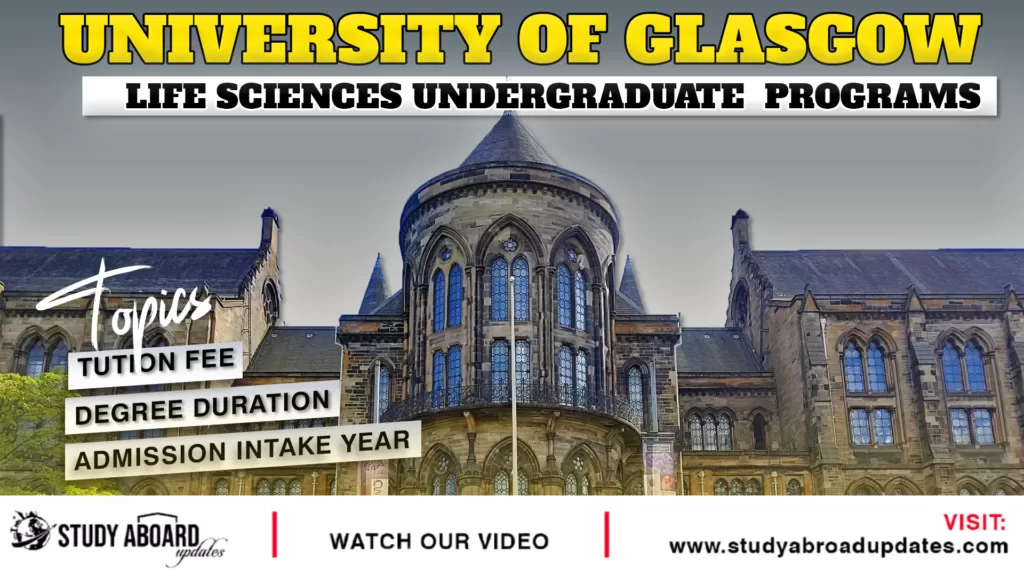 University of Glasgow Life Sciences Undergraduate Programs