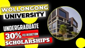 Wollongong university Undergraduate Scholarship copy