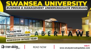 Swansea University Business & Management Undergraduate Programs