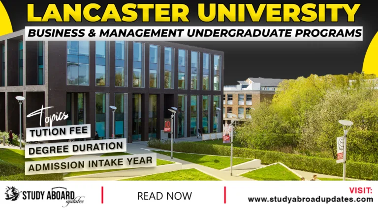 Business & Management Undergraduate