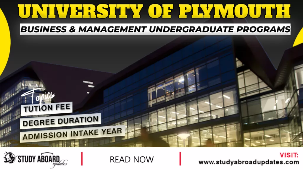 Business & Management Undergraduate Programs