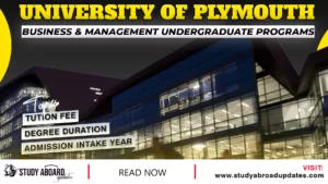 Business & Management Undergraduate Programs