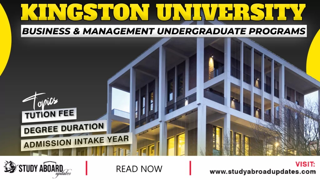 Business & Management Undergraduate Programs