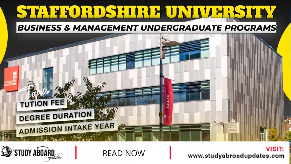 Business & Management Undergraduate Programs