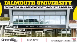 Falmouth University Business & Management Postgraduate Programs