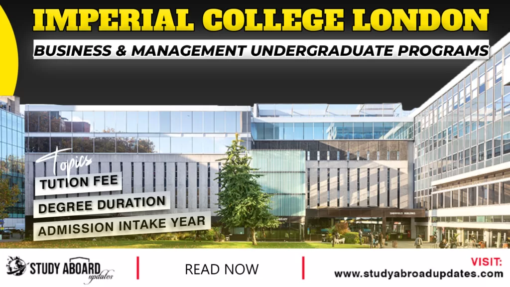 Business & Management undergraduate Programs