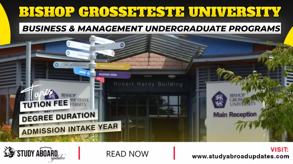 Business & Management undergraduate Programs