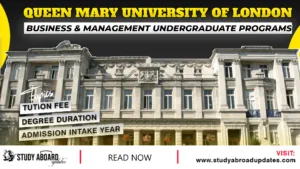 Business & Management undergraduate Programs