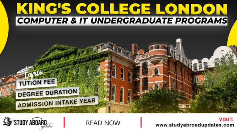 Computer & IT Undergraduate