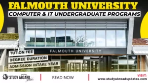 Falmouth University Computer & IT Undergraduate Programs