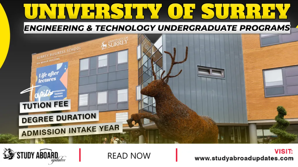 Engineering & Technology Undergraduate Programs