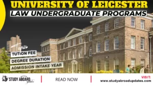 Law undergraduate Programs