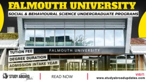 Falmouth University Social & Behavioural Science undergraduate Programs