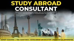 Study abroad Consultant