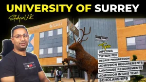 University Of Surrey