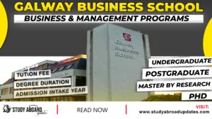 Galway Business School Business & Management Programs