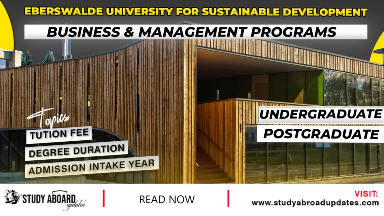 Business & Management