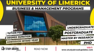 University of Limerick Business & Management Programs
