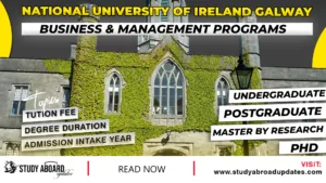 National University of Ireland Galway Business & Management Programs