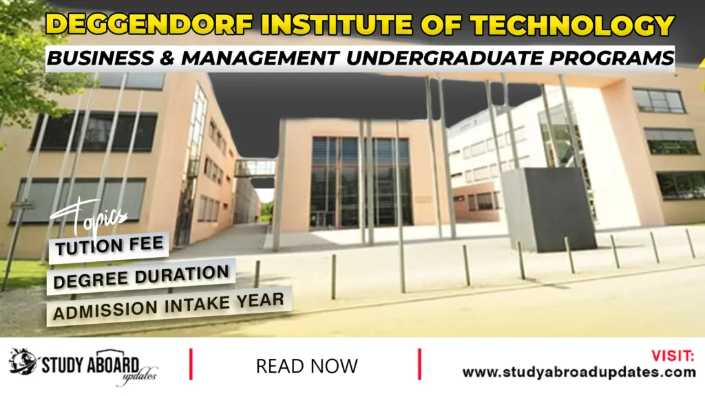 Business & Management Undergraduate