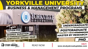 Yorkville University Business & Management Programs