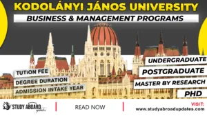 Kodolányi János University Business & Management Programs