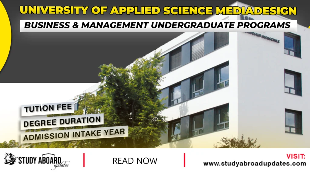 Business & Management Undergraduate