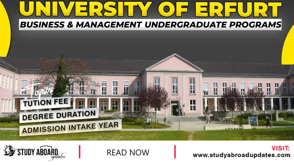 Business & Management Undergraduate