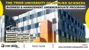 Business & Management Undergraduate