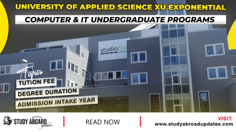 Computer & IT Undergraduate