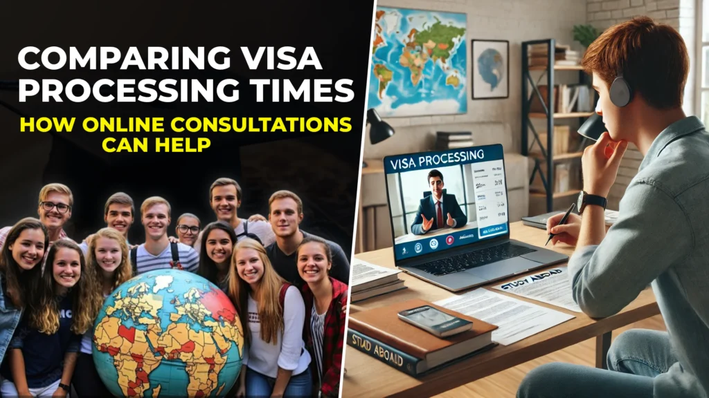 online visa consultations