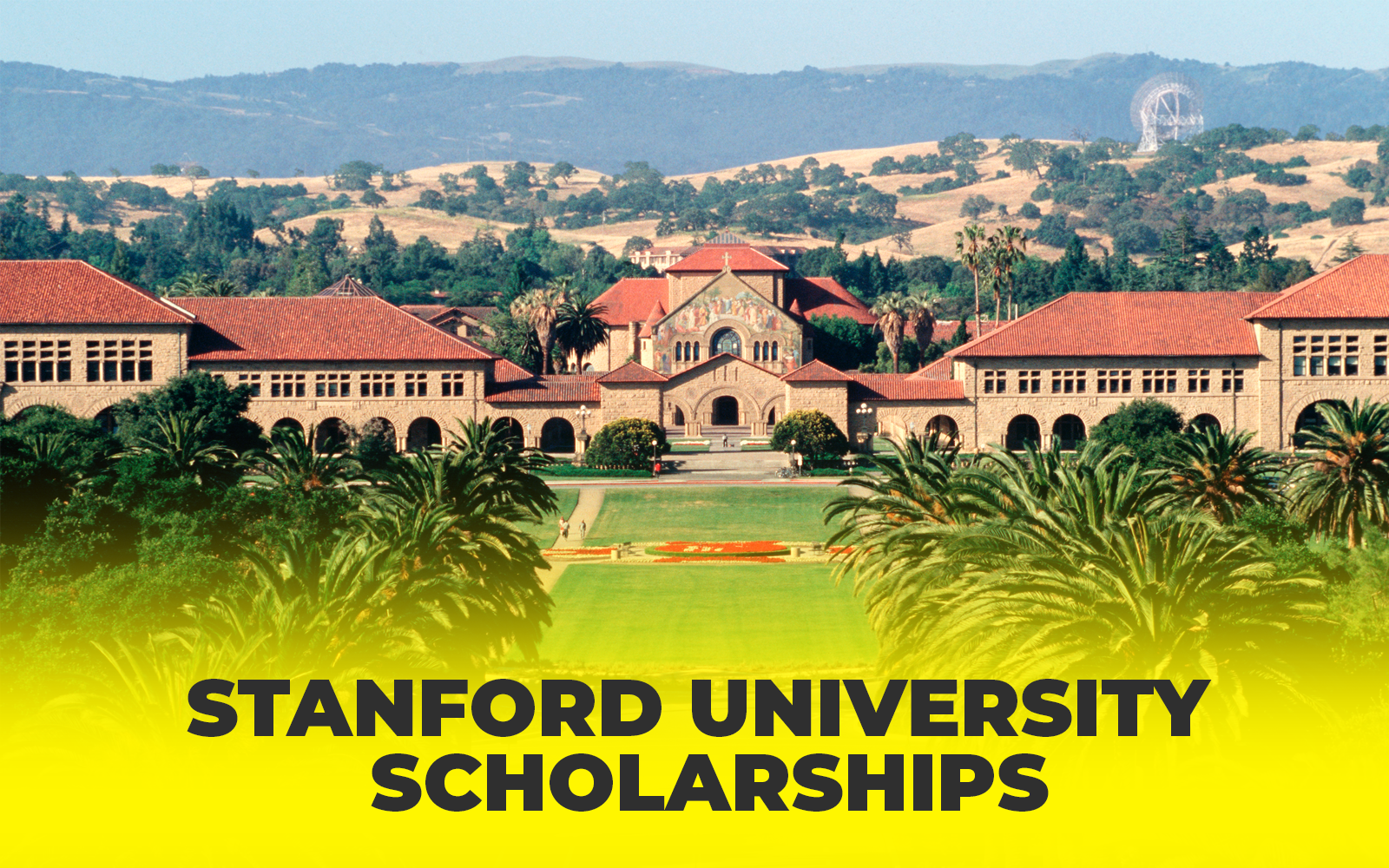 Stanford University Scholarship