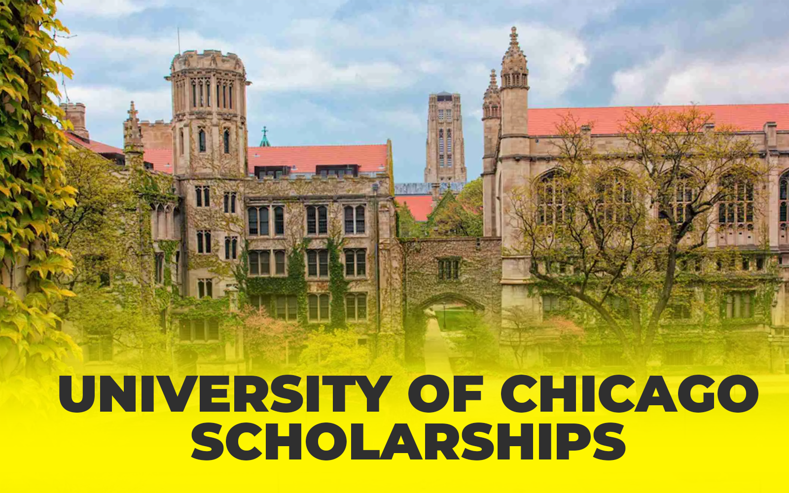 University of Chicago scholarships