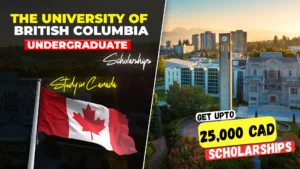 The University of British Columbia undergraduate scholarships