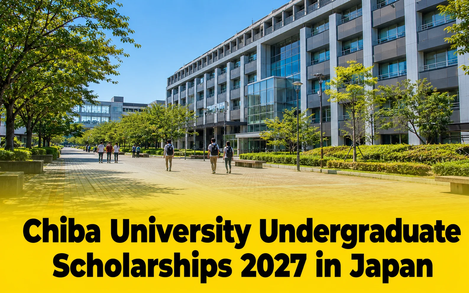 Chiba University Undergraduate Scholarships 2027 in Japan