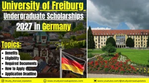 University of Freiburg Undergraduate Scholarships 2027 in Germany