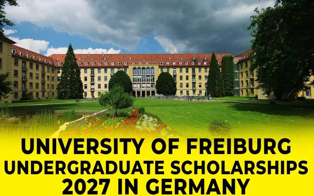University of Freiburg Undergraduate Scholarships 2027 in Germany