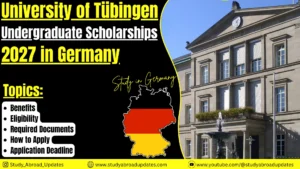 University of Tübingen Undergraduate Scholarships 2027 in Germany